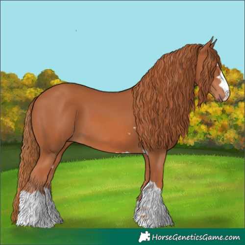 Horse Color:Chestnut 
