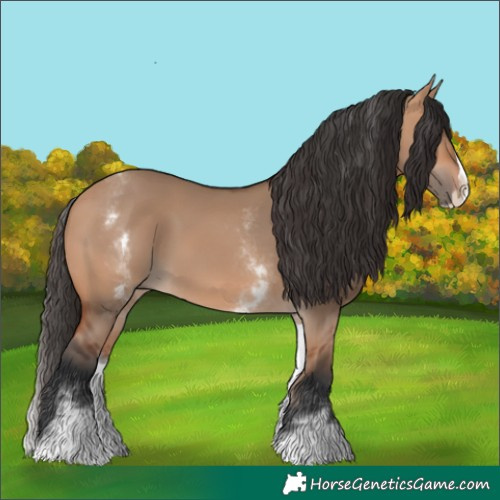 Horse Color:White Spotted Bay Dun Splash Rabicano