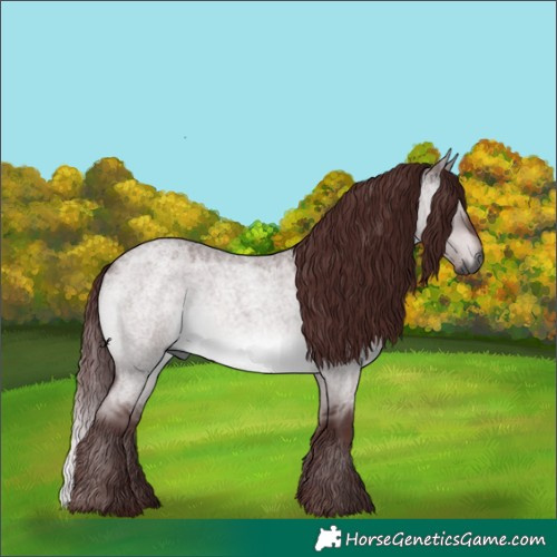 Horse Color:Gray Platinum Chocolate Brown Roan Dun 