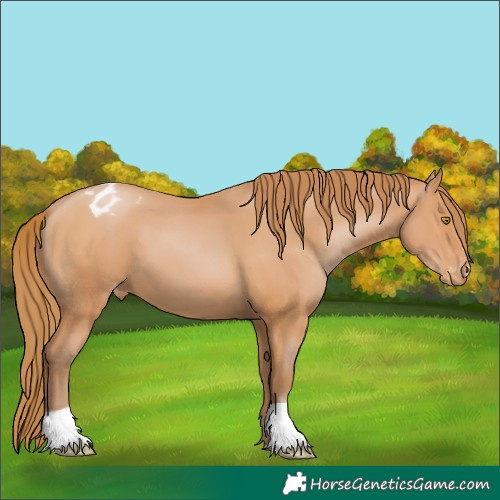 Horse Color:Bay Pearl Varnish