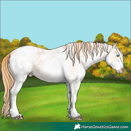 Horse Color:White Spotted Smoky Black Ice Pearl Blanket 