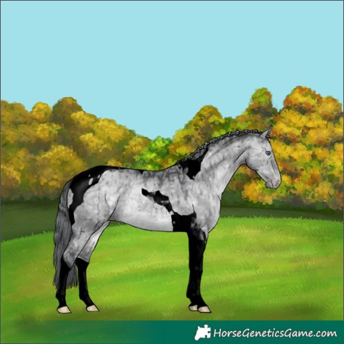 Horse Color:Void Brown Chinchilla Ice Dun Tobiano Varnish Brindle 