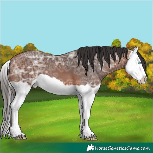 Horse Color:Bay Ice Splash