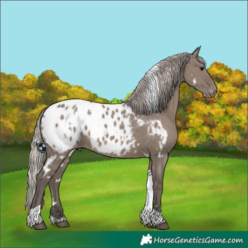 Horse Color:White Spotted Silver Grullo Tobiano Blanket 