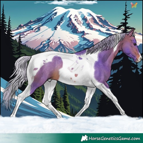 Horse Color:Watercolor Silver Brown Tobiano Rabicano