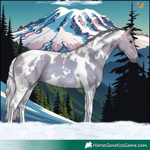 Horse Color:Watercolor White Spotted Silver Buckskin Tobiano 
