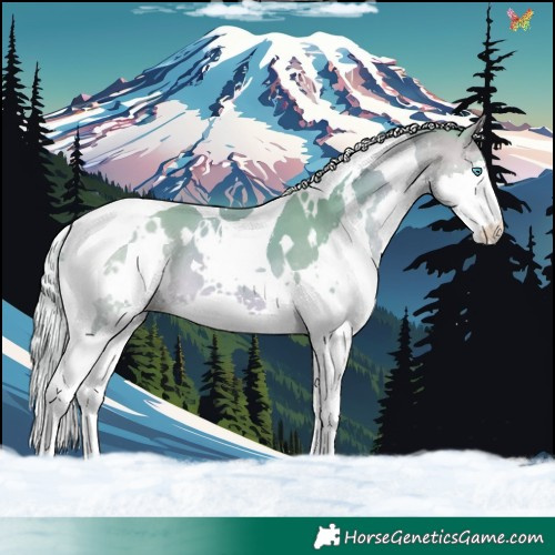 Horse Color:Watercolor White Spotted Silver Buckskin Splash Tobiano