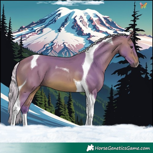 Horse Color:Watercolor Silver Brown Tobiano 