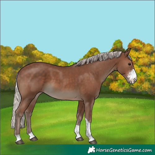 Horse Color:Silver Black Sabino Tobiano 