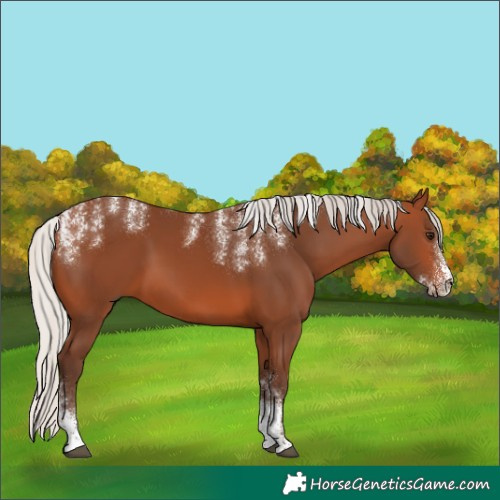 Horse Color:Powder White Silver Brown