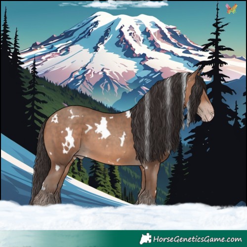 Horse Color:White Spotted Sable Champagne 