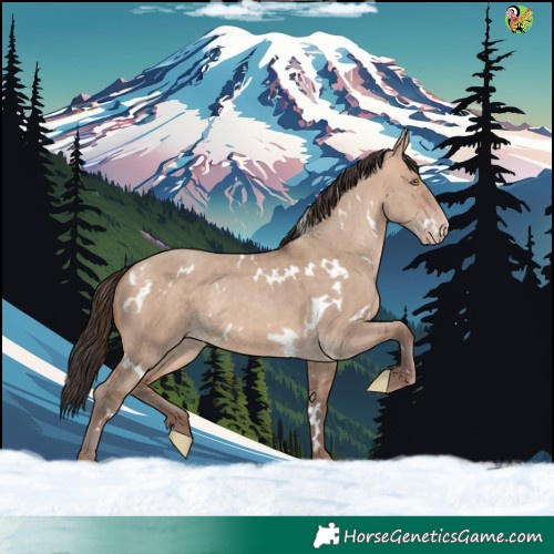 Horse Color:White Spotted Sable Champagne Dun