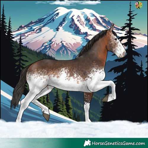 Horse Color:White Spotted Brown Tobiano 