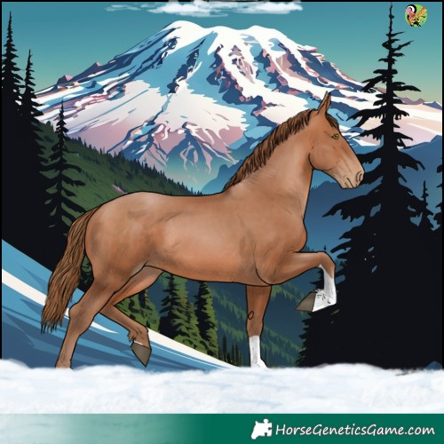 Horse Color:Brown Pearl Tobiano 