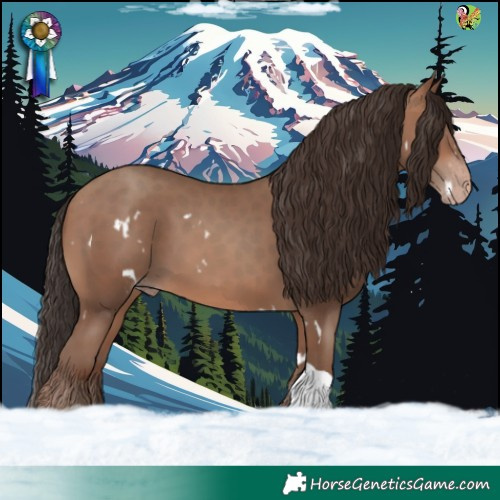 Horse Color:White Spotted Sable Champagne Tobiano 