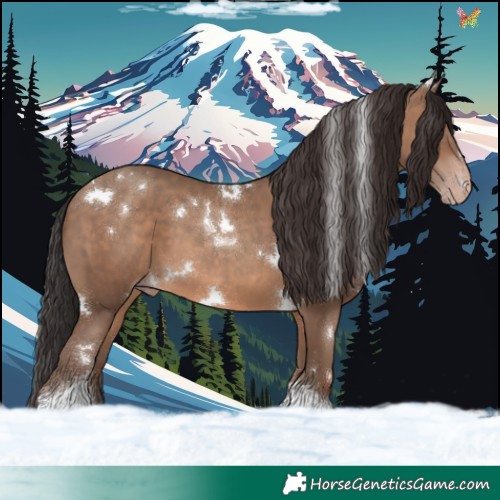 Horse Color:White Spotted Sable Champagne Tobiano