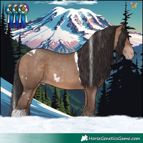 Horse Color:White Spotted Sable Champagne Tobiano