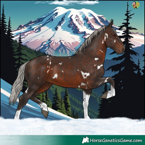 Horse Color:White Spotted Silver Brown Tobiano