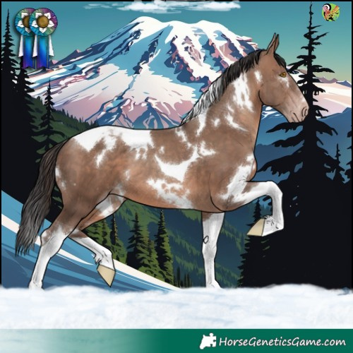 Horse Color:White Spotted Sable Champagne Tobiano 