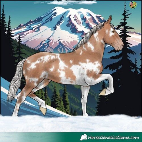 Horse Color:White Spotted Silver Sable Champagne Tobiano 