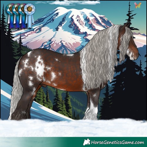 Horse Color:White Spotted Silver Brown Tobiano