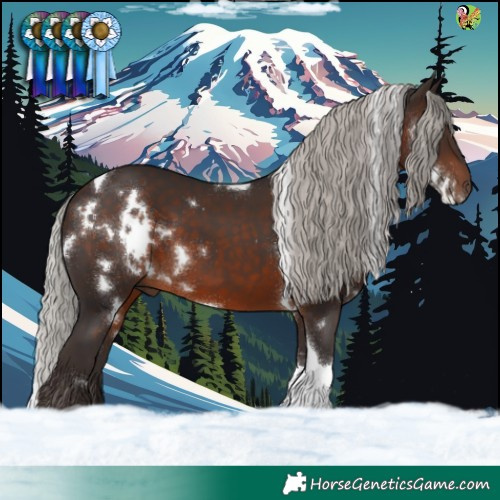 Horse Color:White Spotted Silver Brown Tobiano 