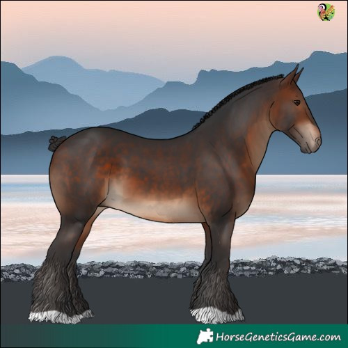 Horse Color:Brown 