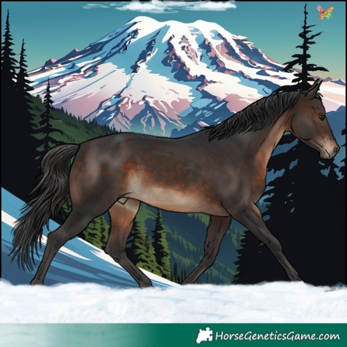 Horse Color:Brown 