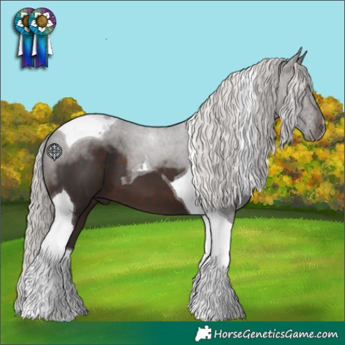 Horse Color:Silver Brown Tobiano
