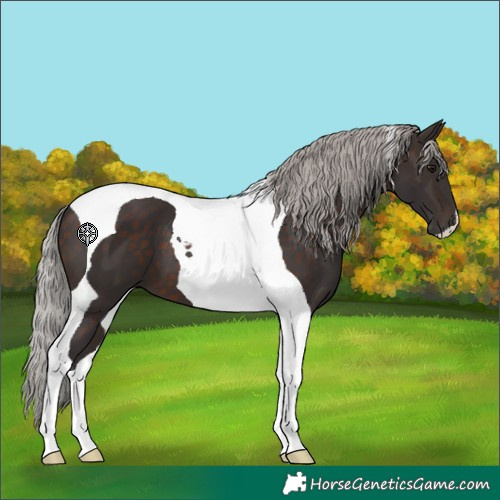 Horse Color:Silver Brown Tobiano