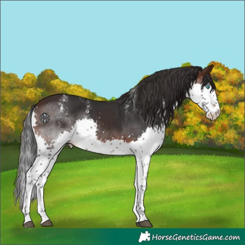 Horse Color:Powder White Brown Splash 