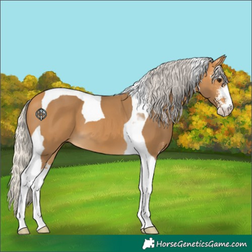 Horse Color:Silver Buckskin Sabino Tobiano 