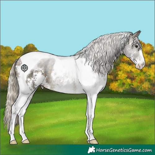 Horse Color:Silver Buckskin Sabino Tobiano 