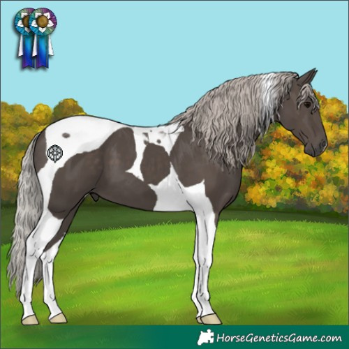 Horse Color:Silver Black Tobiano
