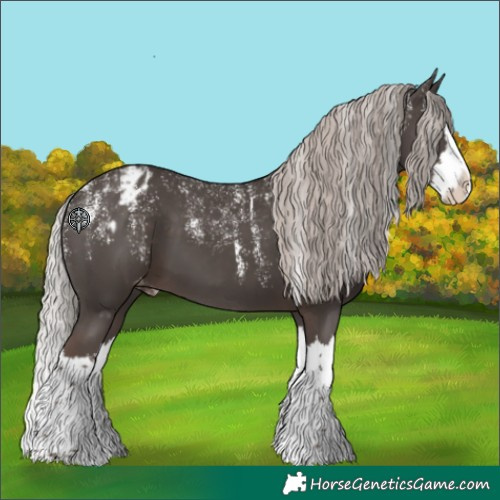 Horse Color:Powder White Silver Black Splash Appaloosa 
