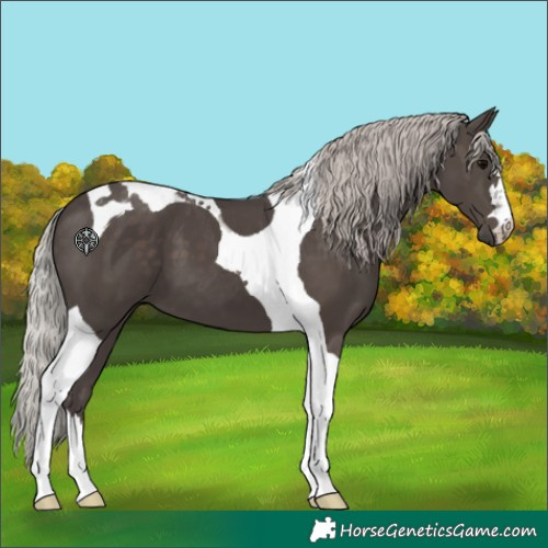 Horse Color:Silver Black Tobiano 