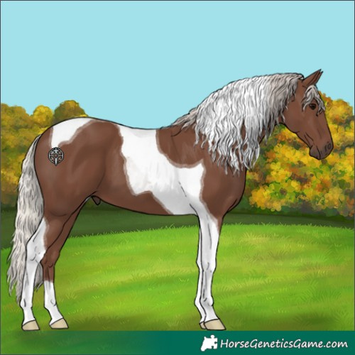 Horse Color:Silver Black Tobiano 