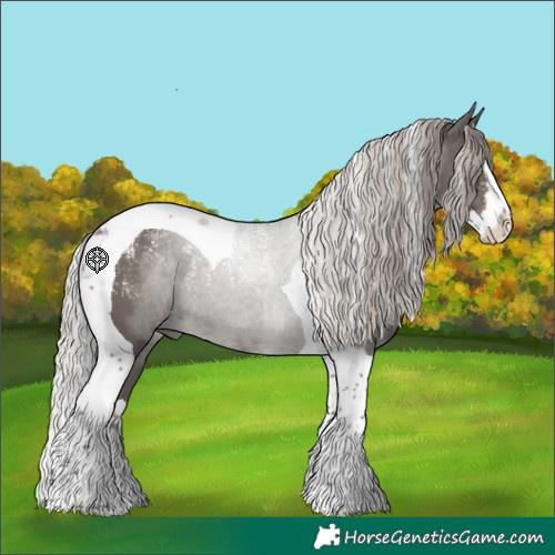 Horse Color:Powder White Silver Black Splash Tobiano 