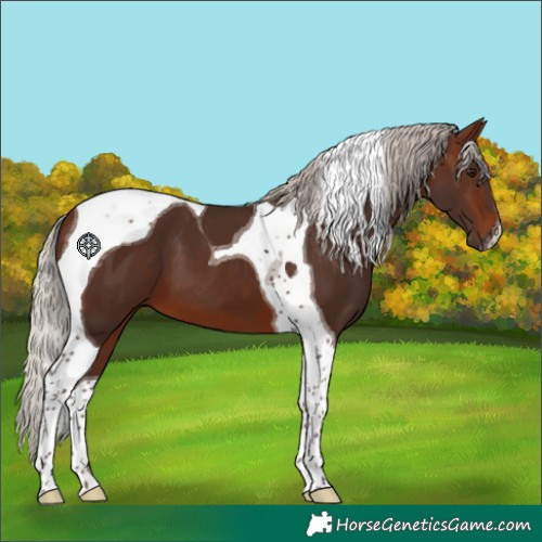 Horse Color:Silver Brown Tobiano