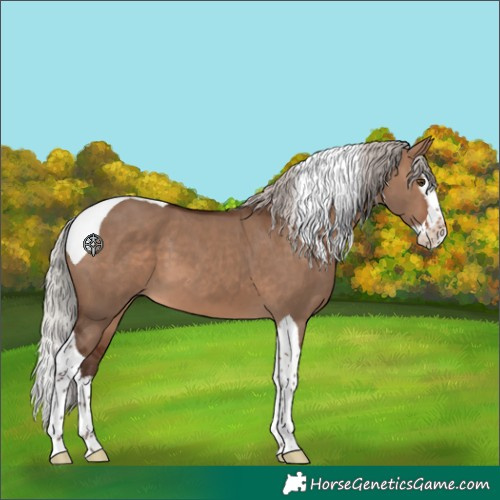 Horse Color:Silver Brown Dun Splash Tobiano