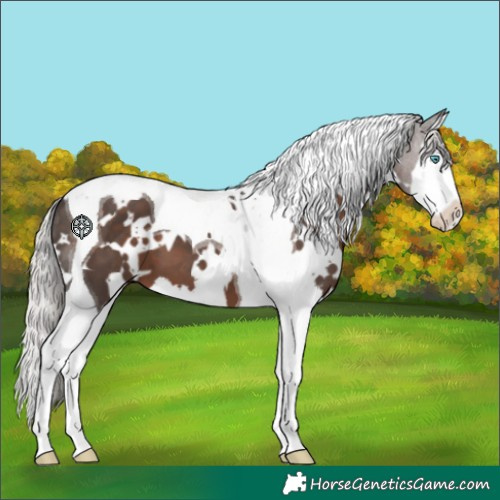 Horse Color:White Spotted Silver Black Splash Tobiano 