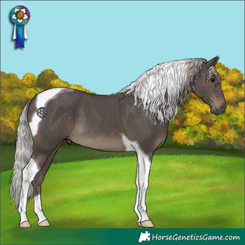 Horse Color:Silver Black Tobiano 