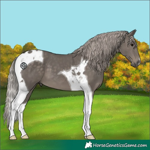 Horse Color:Silver Black Tobiano