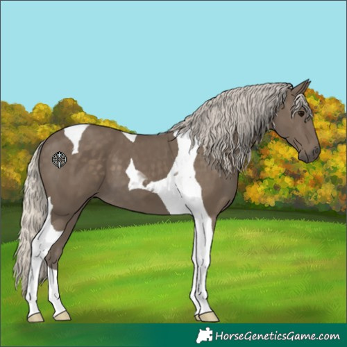 Horse Color:Silver Smoky Black Tobiano 