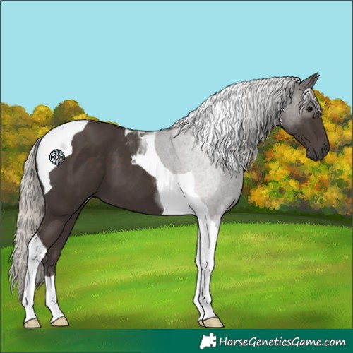 Horse Color:Silver Black Tobiano 