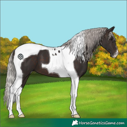 Horse Color:Silver Brown Tobiano 