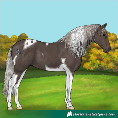 Horse Color:Silver Black Tobiano