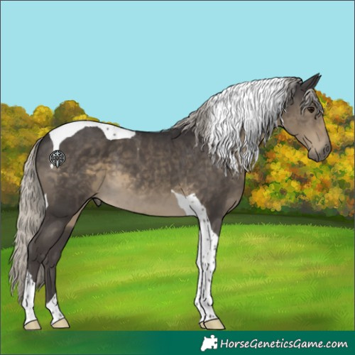 Horse Color:Silver Smoky Black Tobiano 