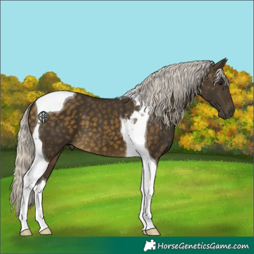 Horse Color:Silver Buckskin Tobiano 