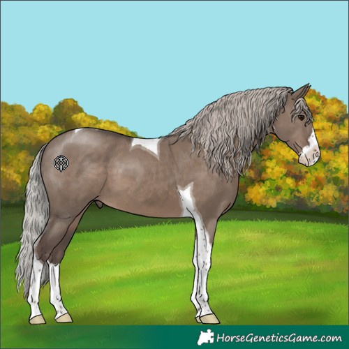 Horse Color:Silver Grullo Splash Tobiano 